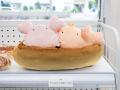 作者のよこみぞゆり先生全面プロデュース！「タイトー