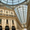 【イタリアン・ペットファッションショー】ミラノ発の