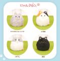コロンッとかわいい犬猫たちが大集合！ぬいぐるみ起き
