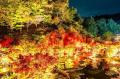 宮城県松島離宮 紅葉ライトアップ2025 11月5日(水)よ