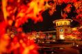 宮城県松島離宮 紅葉ライトアップ2025 11月5日(水)よ