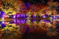 宮城県松島離宮 紅葉ライトアップ2025 11月5日(水)よ