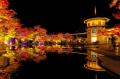 宮城県松島離宮 紅葉ライトアップ2025 11月5日(水)よ
