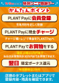 年金支給日はPLANTでのお買い物がお得！！PLANT utf-8