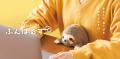 ふんばるずと一緒におでかけしよう！猫背なあなたをサ