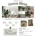 導入費用0円＆月1回訪問！サブスク型植物メンテナンス