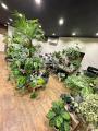 導入費用0円＆月1回訪問！サブスク型植物メンテナンス