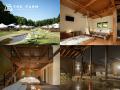 【仮装して空を飛ぶ!?】“体験型ハロウィン”「THE FARM