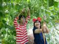 【仮装して空を飛ぶ!?】“体験型ハロウィン”「THE FARM