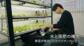 置くだけで“育てる事業”が始まる。「OYASAI FARM」、