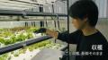 置くだけで“育てる事業”が始まる。「OYASAI FARM」、