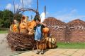 ハロウィンフォトスポット登場【国営海の中道海浜公園