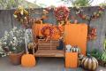 ハロウィンフォトスポット登場【国営海の中道海浜公園