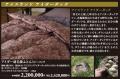秋の暮らしを整える【昭和西川】特選寝具フェア開催！