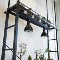 【壁面緑化】床から天井まで植物で埋め尽くそう！奥行