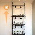 【壁面緑化】床から天井まで植物で埋め尽くそう！奥行