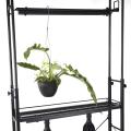 【壁面緑化】床から天井まで植物で埋め尽くそう！奥行