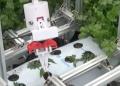 御代田町にて次世代型農業ロボットSYN-ROBOTICS(シン