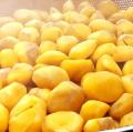 完全受注生産｜丹波産の新栗のみを使用。「極上丹波栗