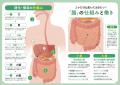 指導実績8,000件超えの分子栄養学カウンセラーが、不