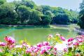 【都築育英学園】イングリッシュガーデンの森林・水辺