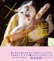 あの猫とお父さんの攻防がまさかのグッズ化　写真集『