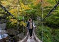 壮大な二条の滝と紅葉のコントラスト　米子大瀑布（日