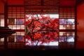 秋の絶景！柳谷観音楊谷寺「紅葉ウィーク2025」開催 