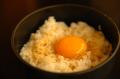 カレーうどんの得正　若江岩田店リニューアルオープン