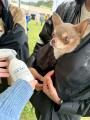 チタニストラボラトリーズ株式会社　全方位、最多幸感