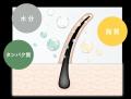 〈ジョンマスターオーガニック〉がフレグランスを監修