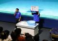 【鴨川シーワールド】『海の生き物 公開体重測定』開