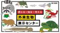 神戸の山の恵みを体感しよう！森と人がつながるutf-8