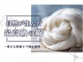 【新発売】“究極の普通”を一枚に。肌触りも、佇まいも