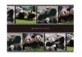 東京 松坂屋上野店で開催中の「HAPPY PANDAFUL DAYS」