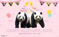 東京 松坂屋上野店で開催中の「HAPPY PANDAFUL DAYS」