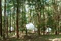 【泊まれる公園 INN THE PARK 沼津】五感で楽しむ「森