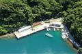 海釣りGO 安良里漁港が10月30日に第一期オープン