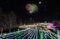 「Winter Illumination 2025」まもなく開催！【国営ア