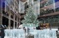 【白銀世界のクリスマス】本物のモミの木を使用した高 【白銀世界のクリスマス】本物のモミの木を使用した高