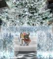 【白銀世界のクリスマス】本物のモミの木を使用した高 【白銀世界のクリスマス】本物のモミの木を使用した高