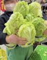 ＼群馬の秋がクライマックス！／ドカ盛り野菜でutf-8