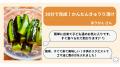 きゅうり漬物レシピ検索が前年比2.1倍、物価高で「自 きゅうり漬物レシピ検索が前年比2.1倍、物価高で「自