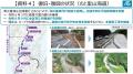 能登半島地震・奥能登豪雨で被害を受けた道路・河川の 能登半島地震・奥能登豪雨で被害を受けた道路・河川の