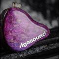 [Agasound] 品質と価格の優れたバランスで好評を博すP