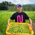 【富士桜高原麦酒】「富士北麓ホップ生産者組合」生産