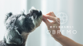 愛犬の“好き”が分かる!ドッグフードブランド「OBREMO 愛犬の“好き”が分かる!ドッグフードブランド「OBREMO