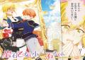 【小石ちゃんが可愛すぎて死ぬぅぅぅ!!!】激ニブ堅物