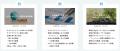 マテリアリティに応じて学べる「法人向けサステナeラ マテリアリティに応じて学べる「法人向けサステナeラ