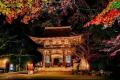 【JAF滋賀】三井寺で夜の特別拝観と紅葉ライトアップ 【JAF滋賀】三井寺で夜の特別拝観と紅葉ライトアップ